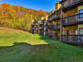 Okemo Mountain Lodge，位于拉德洛的度假屋