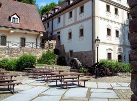 Penzion Šiškův mlýn，位于Vanov的酒店