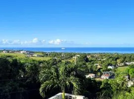 Breezy La Vista on the Terrace - St James, West Coast