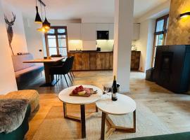 Alpen Lodge Premium Apartment，位于梅扎纳的酒店