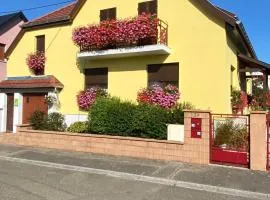ALSACE Gite Climatisé jardin garage motos vélos près Colmar Eguisheim