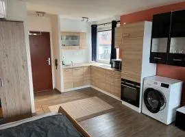 schönes Apartment mit Festungsblick - FREE Parking -