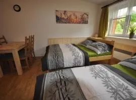 Studio Apartments Lipno 22, 24