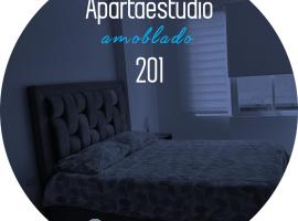 Apartaestudio 201 - Casa Hotel Anita，位于图卢阿的酒店