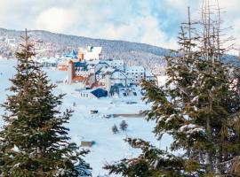 Monte Baia Uludağ，位于乌鲁达的酒店