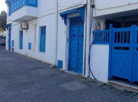 Jolie Maison au centre de Sidi Bou Said，位于西迪·布·赛义德的酒店