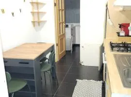 appartement style haussmannien 1 bedroom