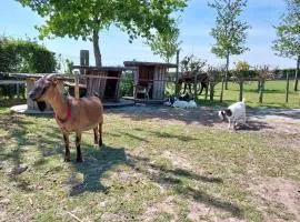 Le Kot'je - Les gites de La Petite Ferme Flamande