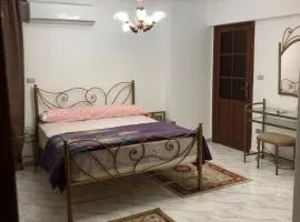Luxury Apartment’s in Alexandria, Saba Basha