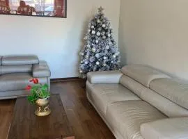 Clayton Living Town House at Monash Doorstep