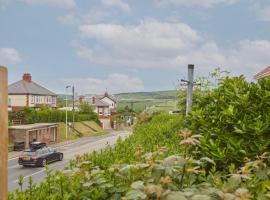 Hillside View Staithes，位于斯泰兹的酒店