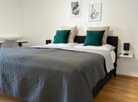 Harmony Living - 10 min to Graz，位于拉斯尼茨霍的酒店