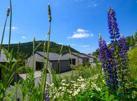 Sauerland Lodge - Haus Luise，位于温特贝格的木屋