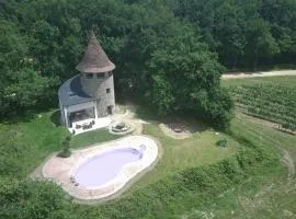 Secluded Vineyard Windmill