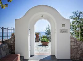 LHP Suite Executive Design Cottage Capri，位于卡普里的酒店