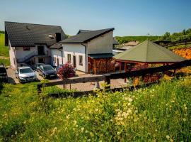Jurajskie Manowce，位于Niegowa的酒店