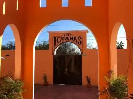 Tres Iguanas Apart Hotel - New, cozy & spacious flats, short walk to beach