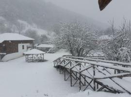 Etno Selo Stara Planina，位于Kalna的酒店