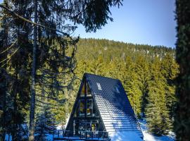 Black Chalet，位于沃尔托普的滑雪度假村