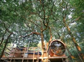 Chestnut Tree House with Hot tub & Sauna，位于巴茅思的酒店