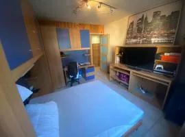 Appart a 10 min de 3 stations de ski