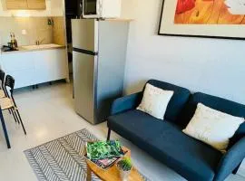 ''Ophélia 84'' Duplex en centre ville avec parking