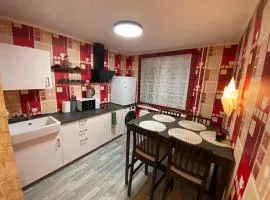 Vieno kambario apartamentai 1 aukšte