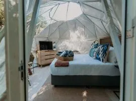 The Forest Dome Tsitsikamma