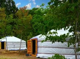 mini mongolia campsite - Vacation STAY 42129v