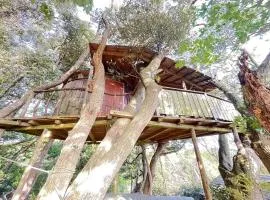 Private Garden Otaki - Vacation STAY 42041v