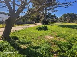 Sogni nel Blu Favignana