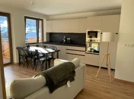 Chalet Saint Victor, Praz sur Arly