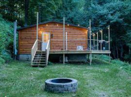 Modern Mountain Cabin - Spectacular Views at 3100 ft，位于韦恩斯维尔的酒店