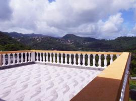 VJ's Guesthouse Mountain View，位于Café的酒店