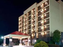 Vista Suites near Leconte Convention Center