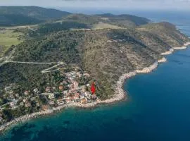 Apartments by the sea Milna, Vis - 8946