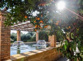 Archontiko Frideriki Luxury Apartments，位于希俄斯的酒店