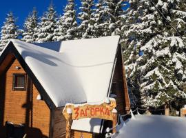 Villa Zagorka and mountain houses A, M, D，位于科帕奥尼克的酒店