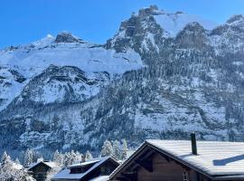 Swiss Alps Lodge，位于坎德施泰格的木屋