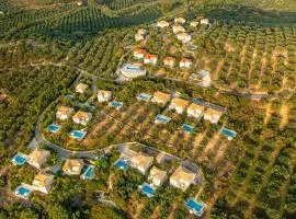 伊利奥纳斯度假酒店