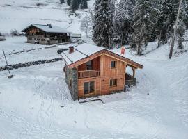 Alpen Chalet，位于莫尔济讷的木屋