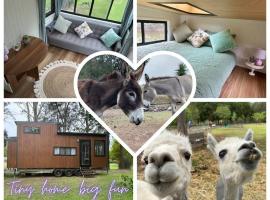 Tiny Home + Donkeys + Alpacas，位于塔姆博尼的小屋