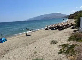 The Aegean Oasis