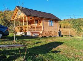Stefana's Tiny House Nature Retreat，位于Sărădiş的小屋