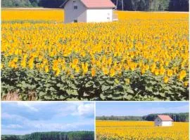 Beocinska Kapija