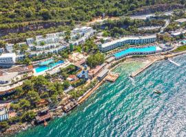 Blue Dreams Resort Bodrum-Ultra All Inclusive，位于托尔巴的酒店