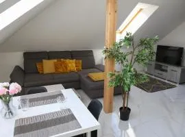 Mizzou Apartman Sárvár