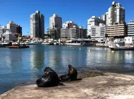 PUNTA DEL ESTE * Funcional y Acogedor Apto. en la Península * 1 Dorm 3 Pers. A 150 mts. del puerto deportivo, 2 cuadras de Gorlero, 10min de la Terminal de Buses.