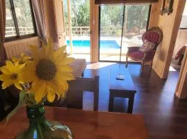 Cabañas Doña Regina