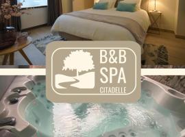 B&B SPA CITADELLE，位于那慕尔的酒店